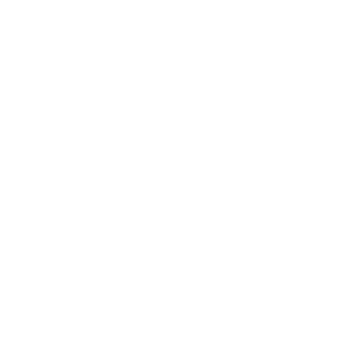 Roam Vistta Travel Logo