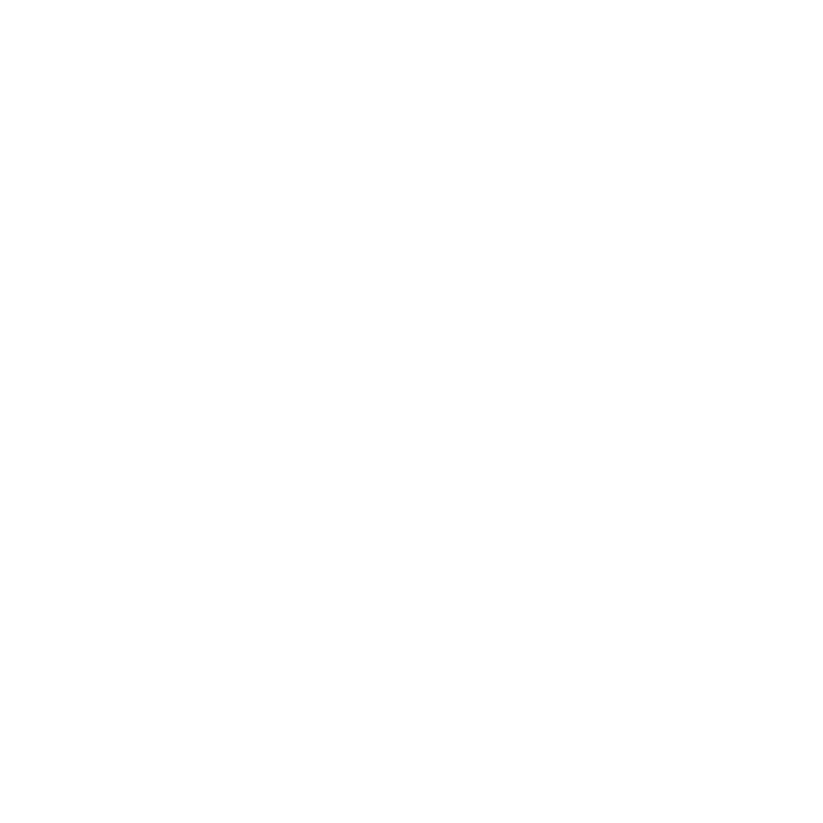 Tripzy Logo